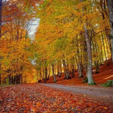 Aufidena Дом отдыха *