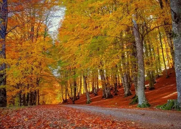 Aufidena Dom wakacyjny *